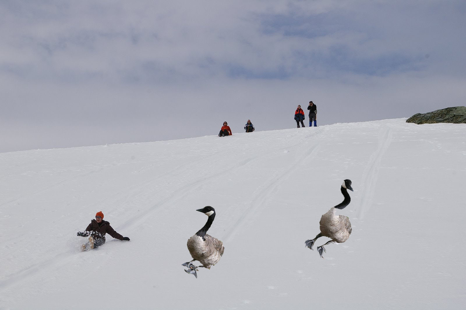 Diseño de Photoshop por matiasgordon para DesignCrowd (Community Contests) | Diseño #8962460