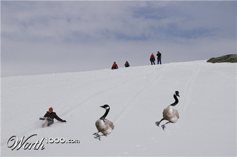 Photoshop Design by matiasgordon