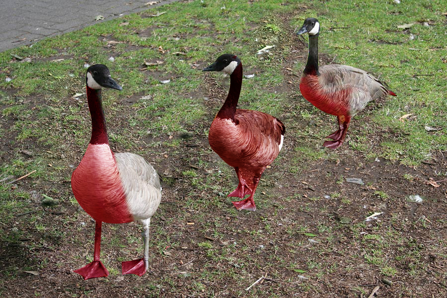 Photoshop Design by nufan1987 for DesignCrowd (Community Contests) | Design #8962444