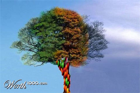 Photoshop Design by schillinator