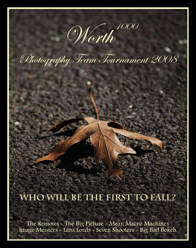 Photography by Andromeda5000 for DesignCrowd (Community Contests) | Design #8962084