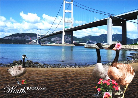 Photoshop Design by Photographim