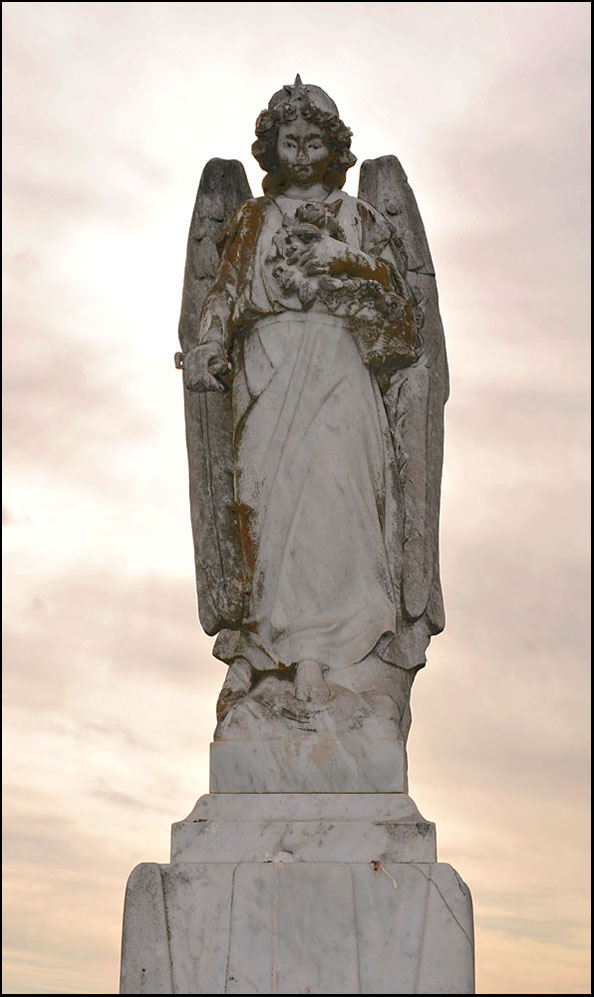 Photographie par Isabella2006 pour DesignCrowd (Community Contests) | Design #8963346