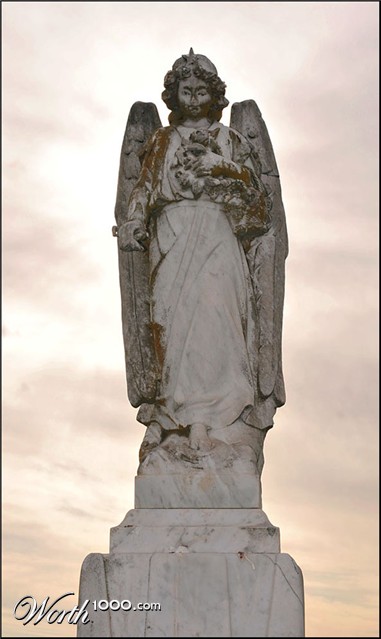 Photography by Isabella2006