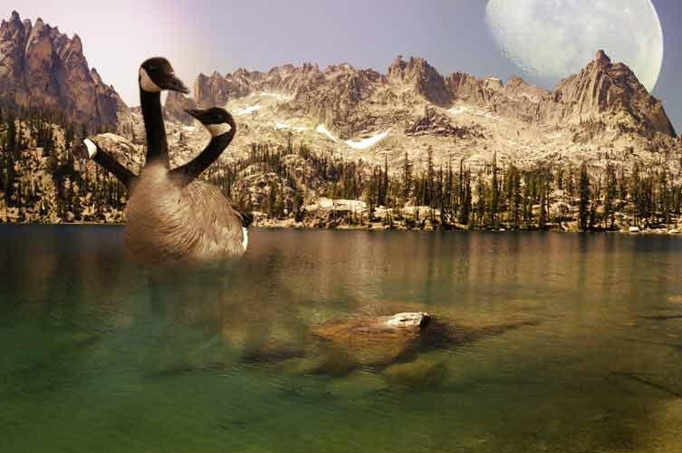 Photoshop Design by PissMyren for DesignCrowd (Community Contests) | Design #8962501