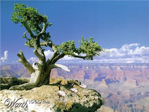 Photoshop Design by rassek