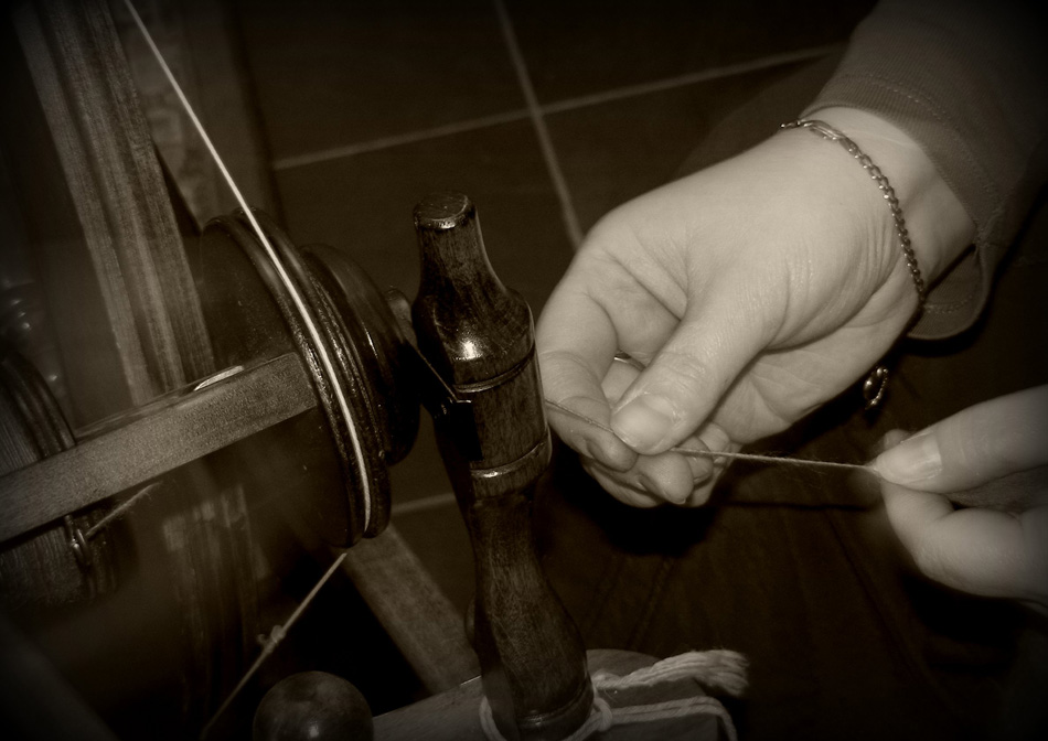 Photography by fujiellena for DesignCrowd (Community Contests) | Design #8961075