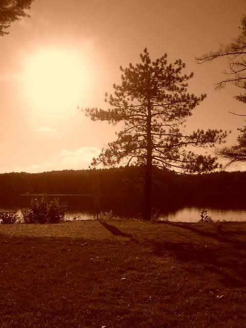 Fotografía por keri0105 para DesignCrowd (Community Contests) | Diseño #8961054