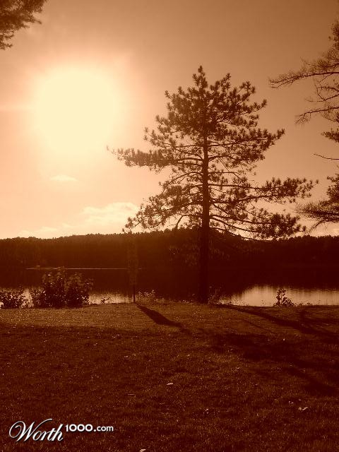 Photography by keri0105