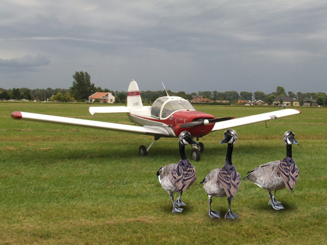 Diseño de Photoshop por Kissgetsbusted para DesignCrowd (Community Contests) | Diseño #8962540