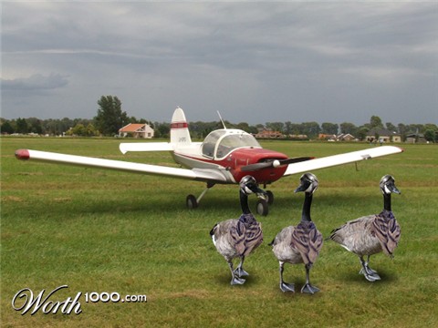 Photoshop Design by Kissgetsbusted