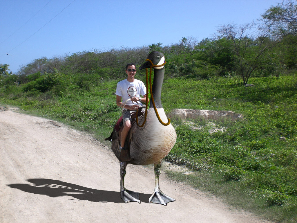 Photoshop-Design von beveha für DesignCrowd (Community Contests) | Design #8962492