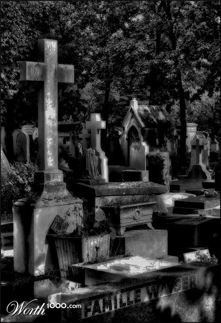 Photography by Juicer