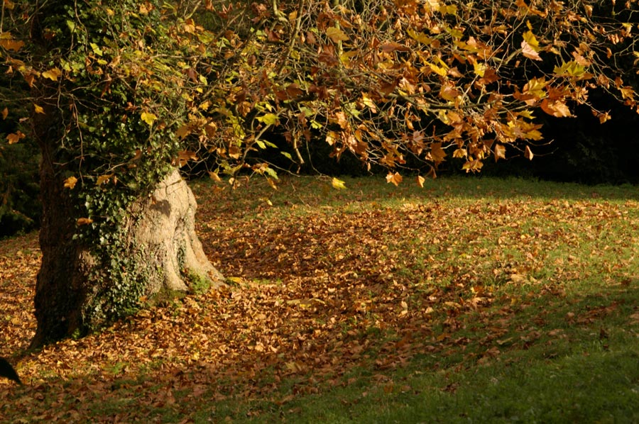 Photographie par Rvannith pour DesignCrowd (Community Contests) | Design #8961065