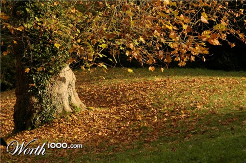 Photography by Rvannith