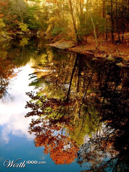 Photography by dinosaur