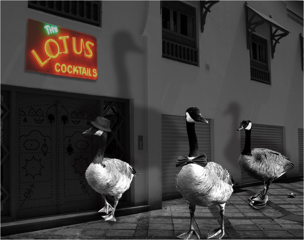 Photoshop-Design von kempony für DesignCrowd (Community Contests) | Design #8962519