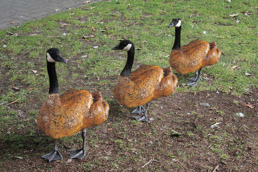 Photoshop Design by perrry for DesignCrowd (Community Contests) | Design #8962614