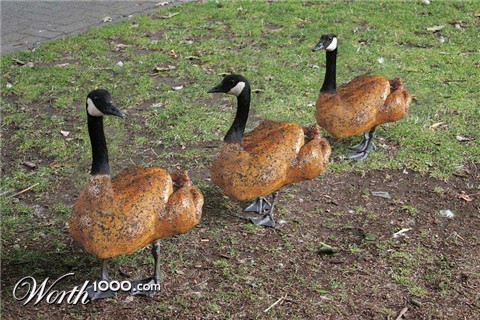 Photoshop Design by perrry