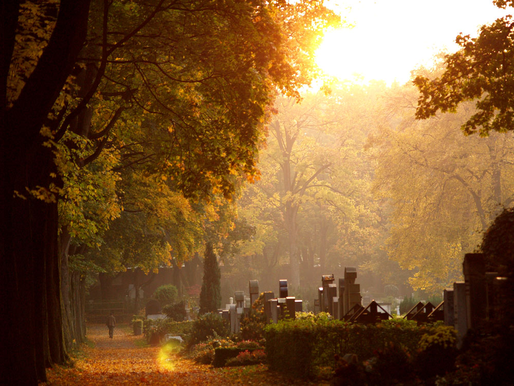 Photography by redcats for DesignCrowd (Community Contests) | Design #8961070