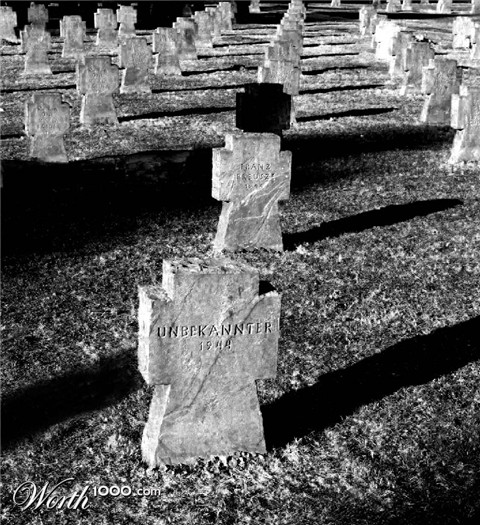 Photography by danielkr