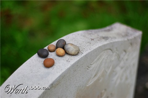 Photography by ms99066