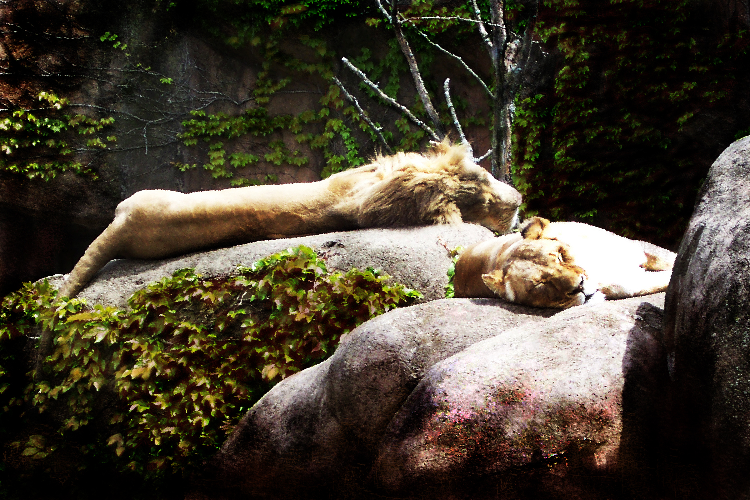 Design Photoshop par buiscuitface pour DesignCrowd (Community Contests) | Design #8962700