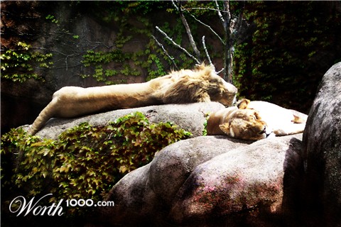 Photoshop Design by buiscuitface