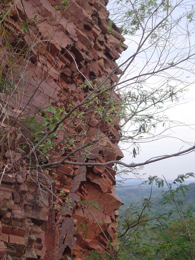 Photography by garrapatita for DesignCrowd (Community Contests) | Design #8961932