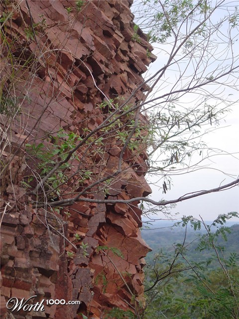 Photography by garrapatita