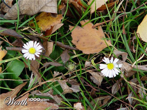 Photography by Lilmano