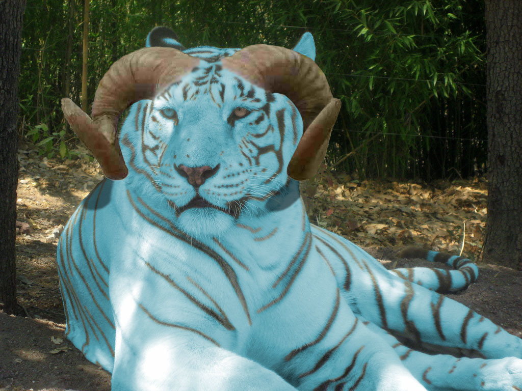 Photoshop Design by Keanu84 for DesignCrowd (Community Contests) | Design #8961094