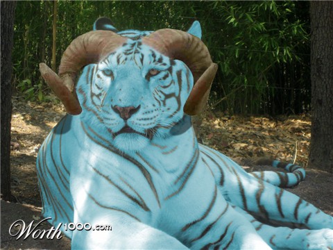 Photoshop Design by Keanu84