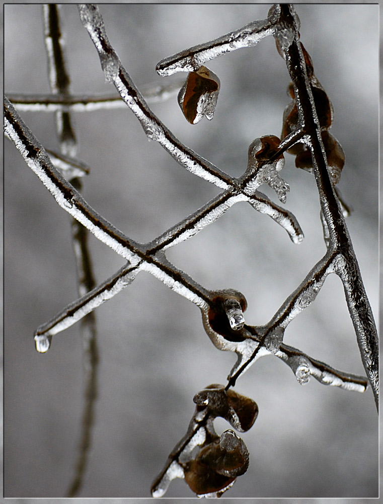 Photography by millgage for DesignCrowd (Community Contests) | Design #8963323