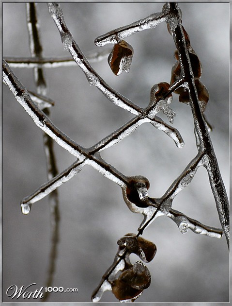 Photography by millgage