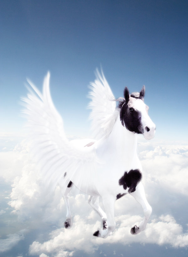 Photoshop Design by TheBraveCoward for DesignCrowd (Community Contests) | Design #8961100