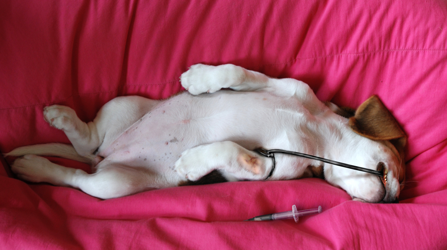 Photoshop Design by mollybloom for DesignCrowd (Community Contests) | Design #8961835