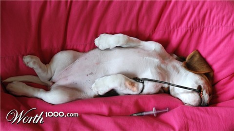 Photoshop Design by mollybloom