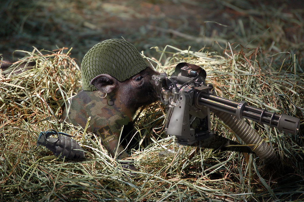 Photoshop-Design von beveha für DesignCrowd (Community Contests) | Design #8961810