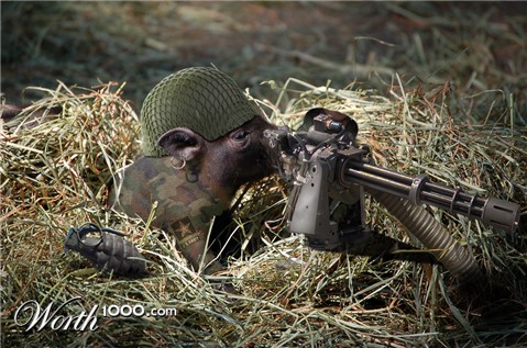 Photoshop Design by beveha