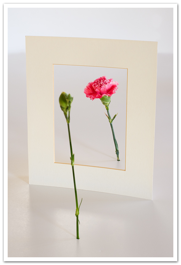 Fotografie von SigloV für DesignCrowd (Community Contests) | Design #8962818