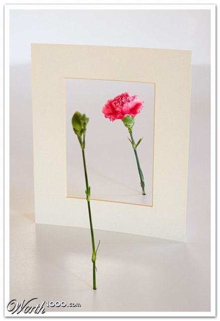 Photography by SigloV