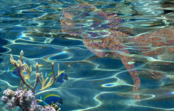 Design Photoshop par zimzy999 pour DesignCrowd (Community Contests) | Design #8961114