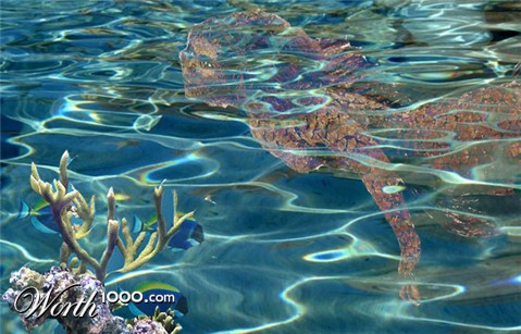 Photoshop Design by zimzy999