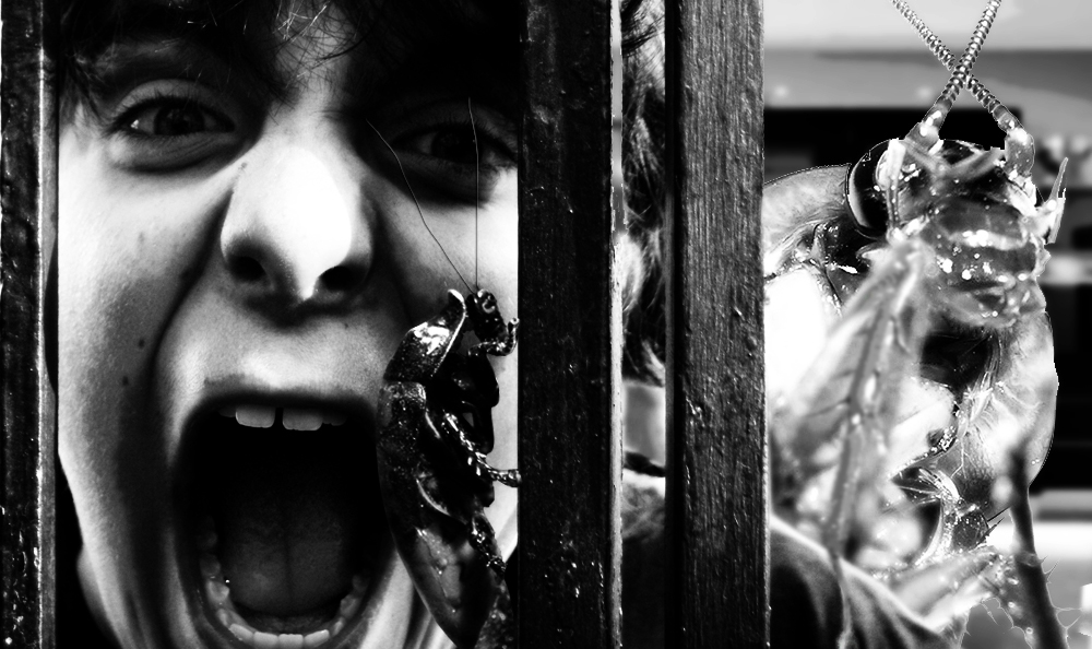 Photoshop Design by maci1976 for DesignCrowd (Community Contests) | Design #8961690