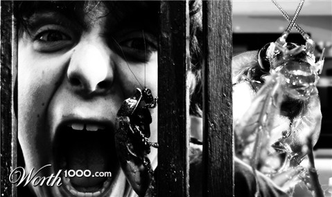 Photoshop Design by maci1976