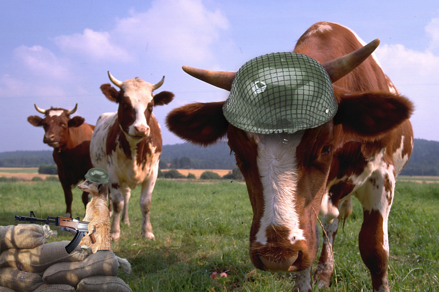 Diseño de Photoshop por MianV para DesignCrowd (Community Contests) | Diseño #8961910