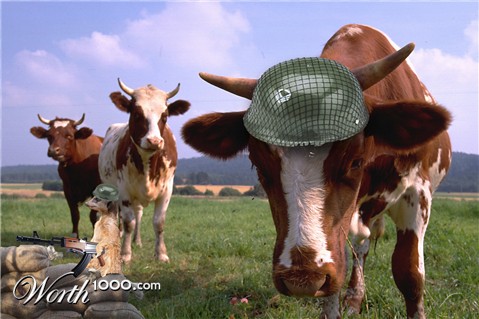 Photoshop Design by MianV