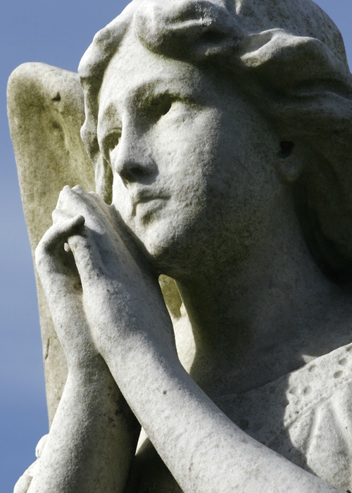 Photography by Fairfax2005 for DesignCrowd (Community Contests) | Design #8963383