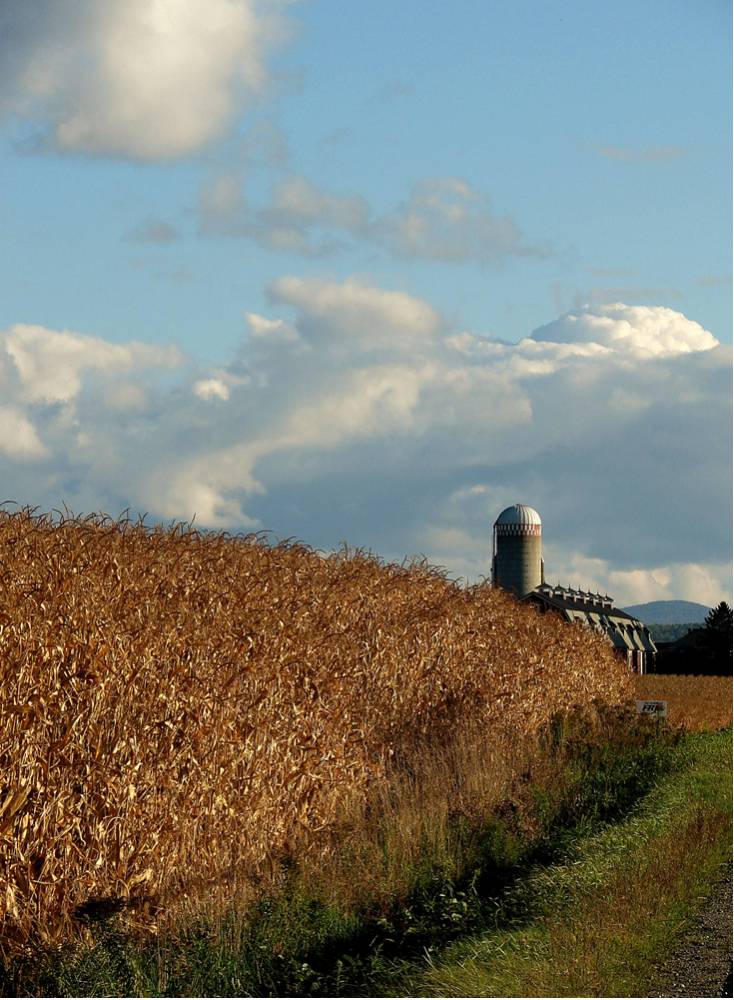 Photography by Berilu for DesignCrowd (Community Contests) | Design #8961123